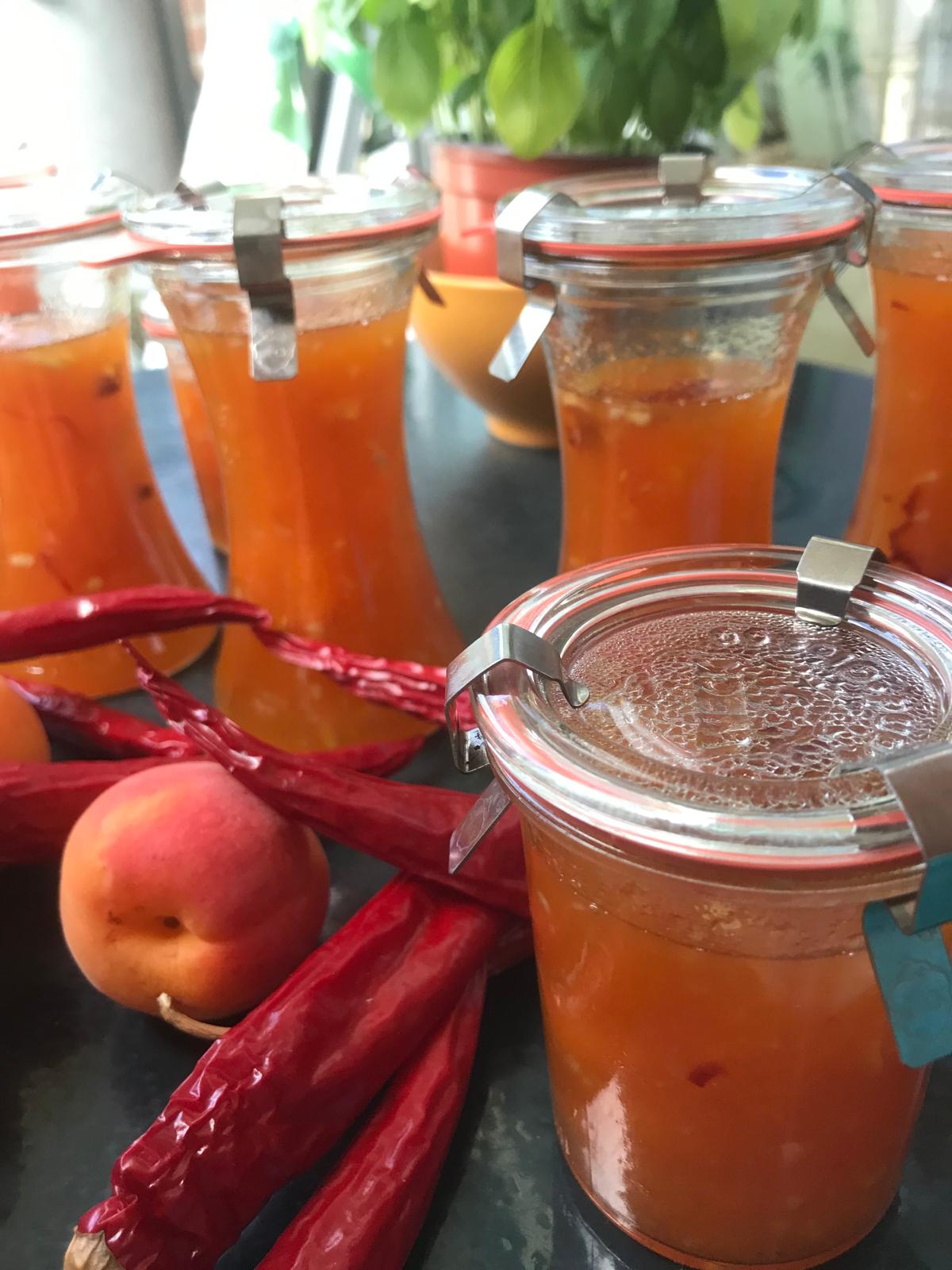 préparation lactofermentée à l'Art delà Fermentation